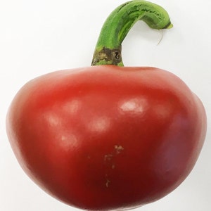 May include: A bright red bell pepper with a green stem. The pepper is round and has a smooth surface.