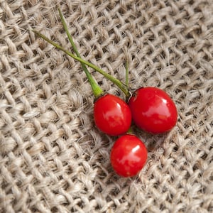 May include: Three small, bright red berries with glossy surfaces and green stems are displayed against a textured, tan burlap background. The berries are clustered together, showcasing their vibrant color and natural form.