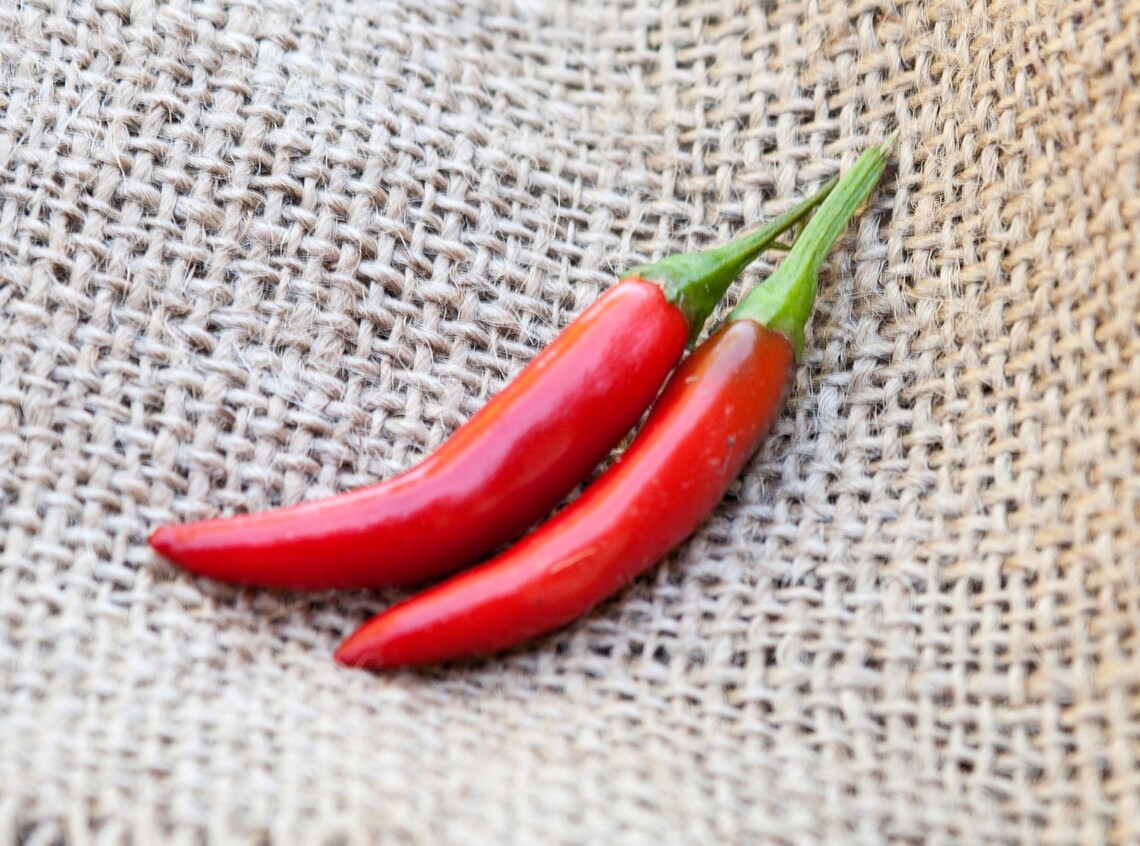 Kimchi Traditional Korean Variety Chile Heirloom Pepper Etsy