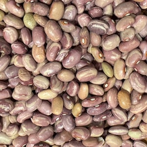 May include: Close-up of a pile of dried beans. The beans are oval-shaped with a mix of colors, including shades of pink, tan, and purple. Some beans have a striped pattern, while others are solid in color. The beans are a natural food product.