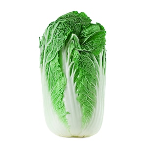 Napa Cabbage Chinese Korean Wombok Kimchi Hakusai Heirloom Premium Seed Packet
