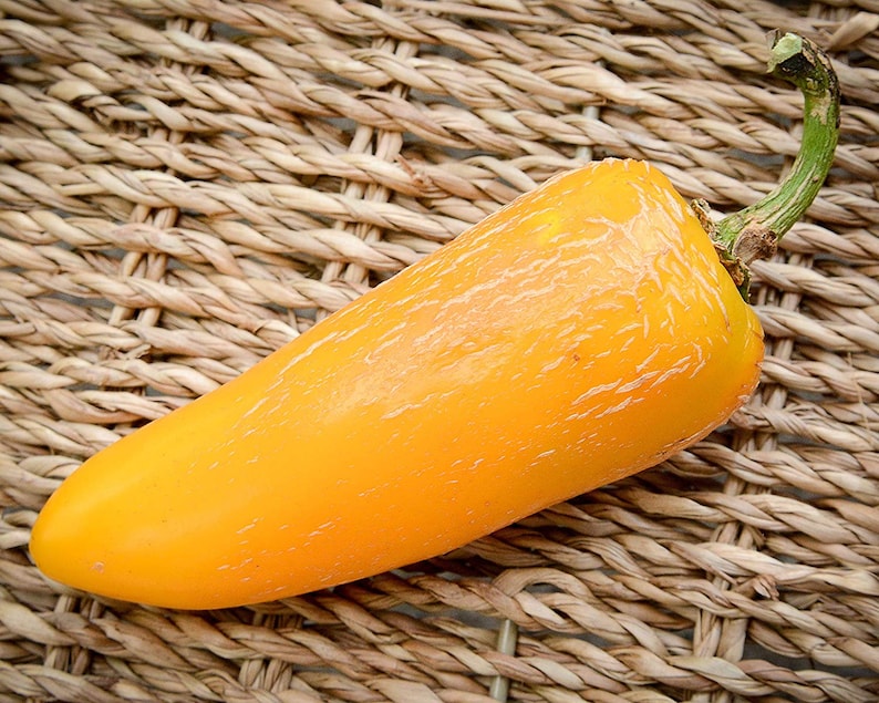 Gigante amarillo Jalapeno Pimienta Premium Semillas Packet Etsy España