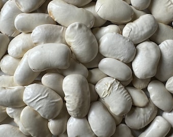 Greek Gigante Bean Fasolia Gigantes Plaki Heirloom Seed Packet