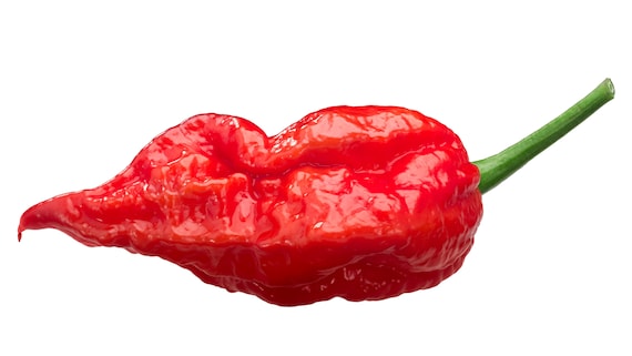 Ghost Peppers