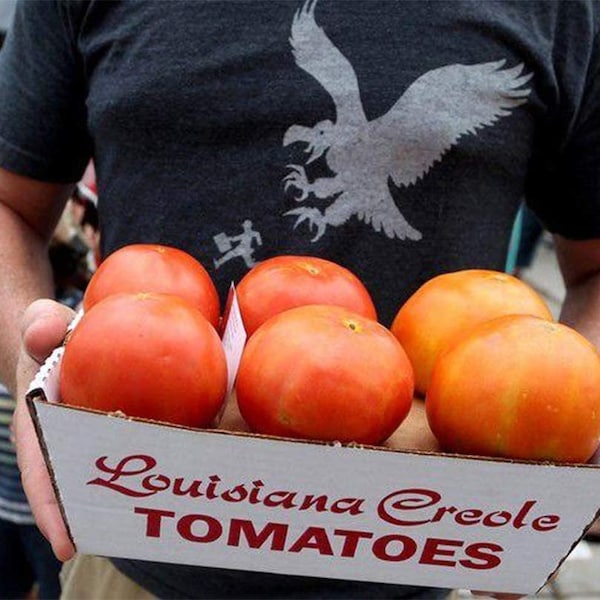 Creole Tomato The Famous New Orleans Louisiana Premium Seed Packet