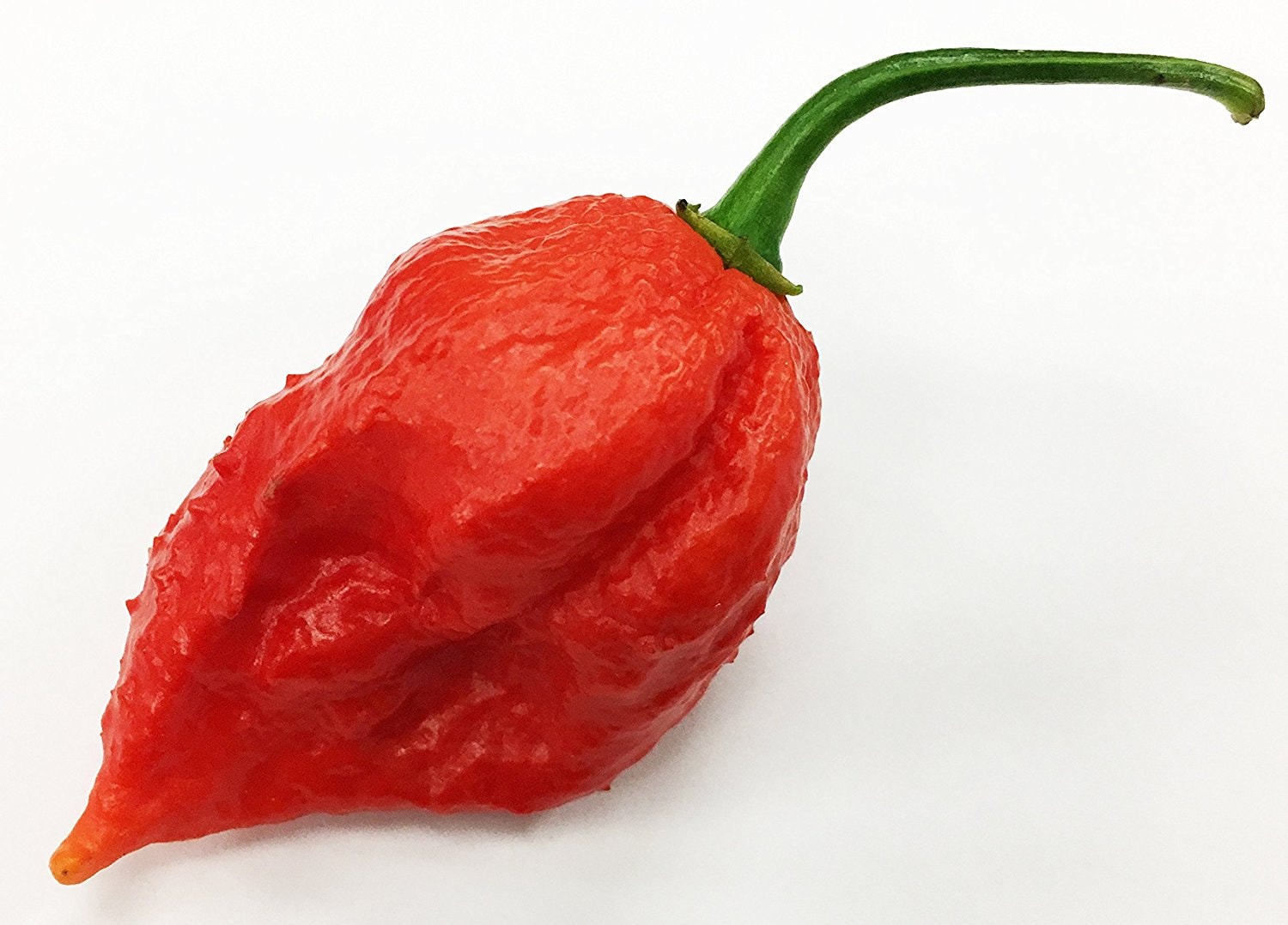 Jigsaw Pepper Premium Seed Packet Etsy