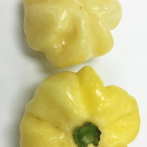 May include: Two yellow bell peppers, one with a green stem, on a white background.
