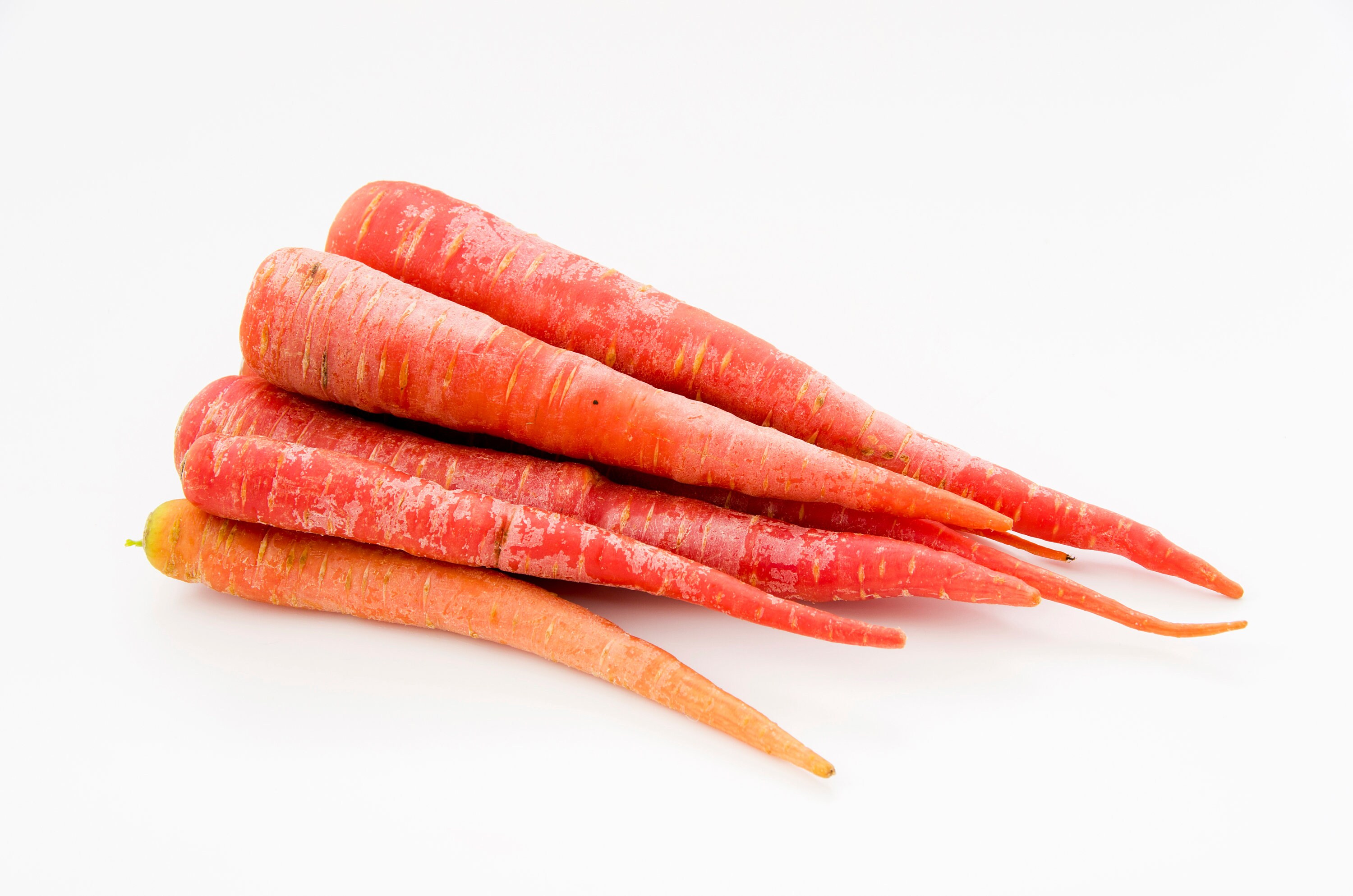 Red carrot 2024