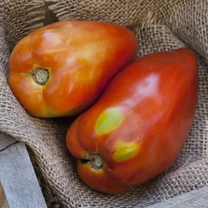San Marzano Redorta Heirloom Tomato Premium Seed Packet image 4