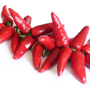 Piment d'Espelette basque en sachet de graines de piment d'Espelette du célèbre Pays basque