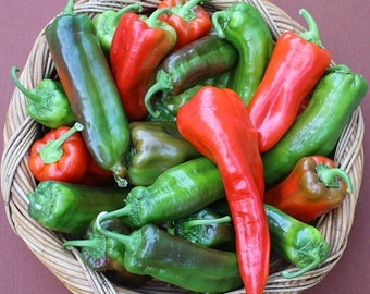 Peperoni di Senise Heirloom Pepper Premium Seed Packet + More