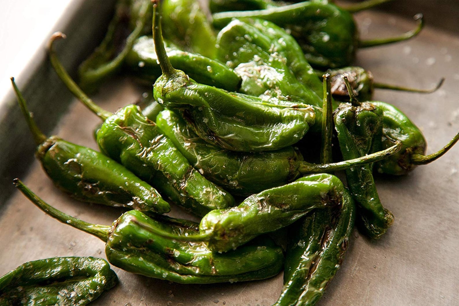 зеленый перец падрон. перец сладкий халапеньо. чили аджика. жареные перцы падрон. зеленый перец по армянски.