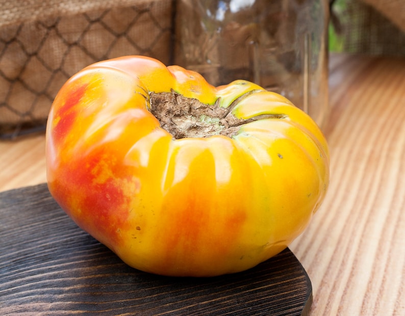 Hawaiian Pineapple Heirloom Tomato Premium Seed Packet