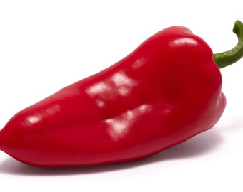 Pacote de sementes de pimenta doce turca Kapia Premium