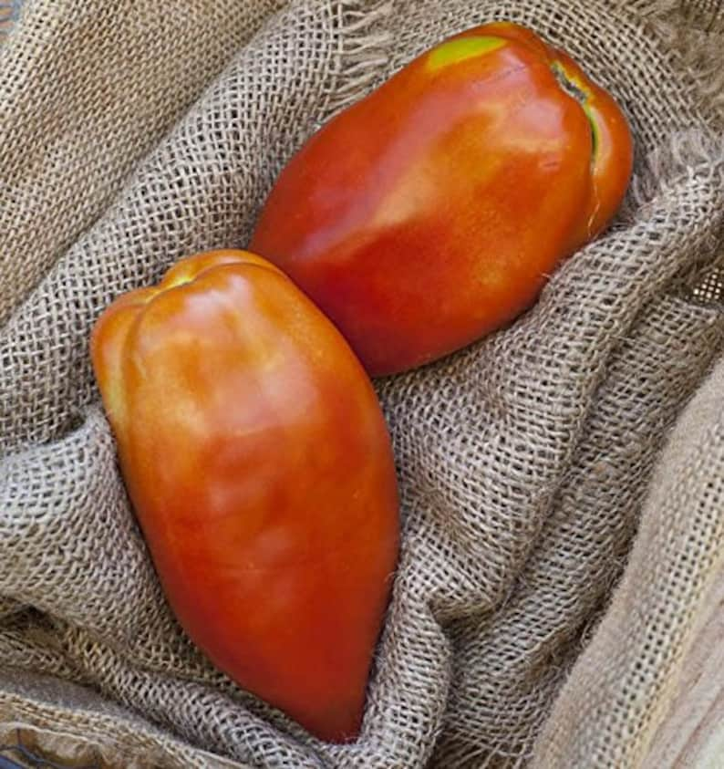 San Marzano Redorta Heirloom Tomato Premium Seed Packet image 2