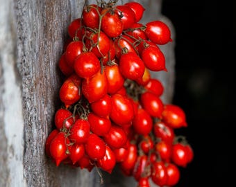 Paquete de semillas premium de tomate italiano Red Piennolo Rosso del Vesuvio