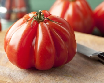 Coeur De Boeuf Rundhart Tomaat Premium Zaadpakket