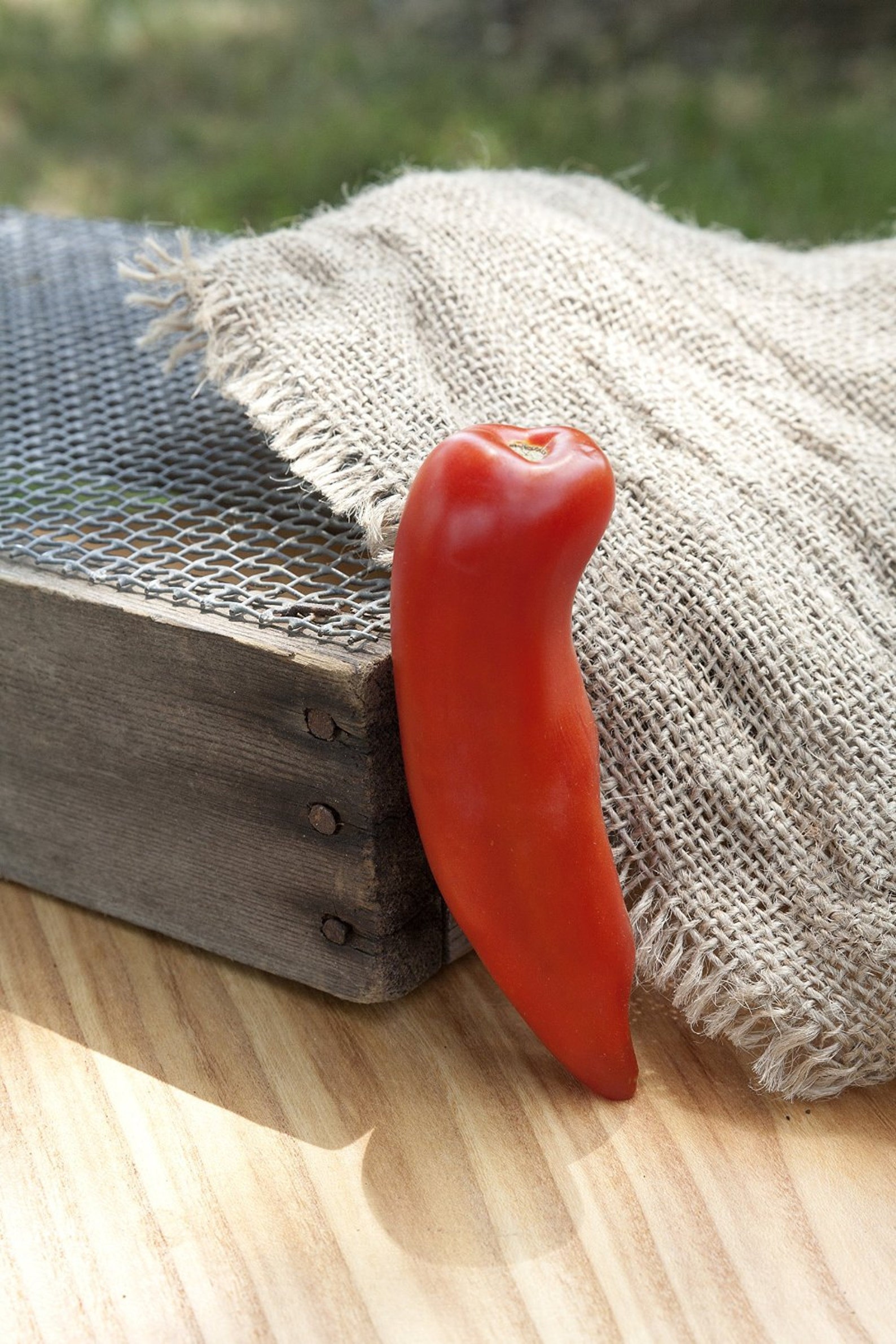 Opalka Sauce Heirloom Tomato Premium Seeds Packet