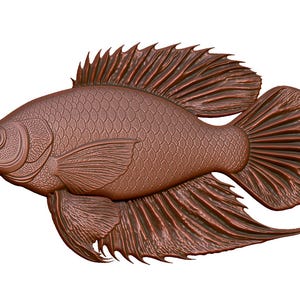 Op de afbeelding: Een gedetailleerde bronzen sculptuur van een vis, waarschijnlijk een Betta, met ingewikkelde details van schubben en vinnen. De vis is in een zijaanzicht afgebeeld, met zijn vloeiende vinnen en getextureerde lichaam. Witte achtergrond.