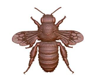 May include: A detailed, bronze-colored bee sculpture with intricate detailing. The bee has textured wings, segmented body, and visible antennae. The image is a close-up, showcasing the bee's features against a white background.