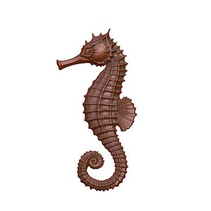 May include: A brown, wooden seahorse figurine with a detailed, textured surface. The seahorse is curled in a classic pose with its tail wrapped around its body.