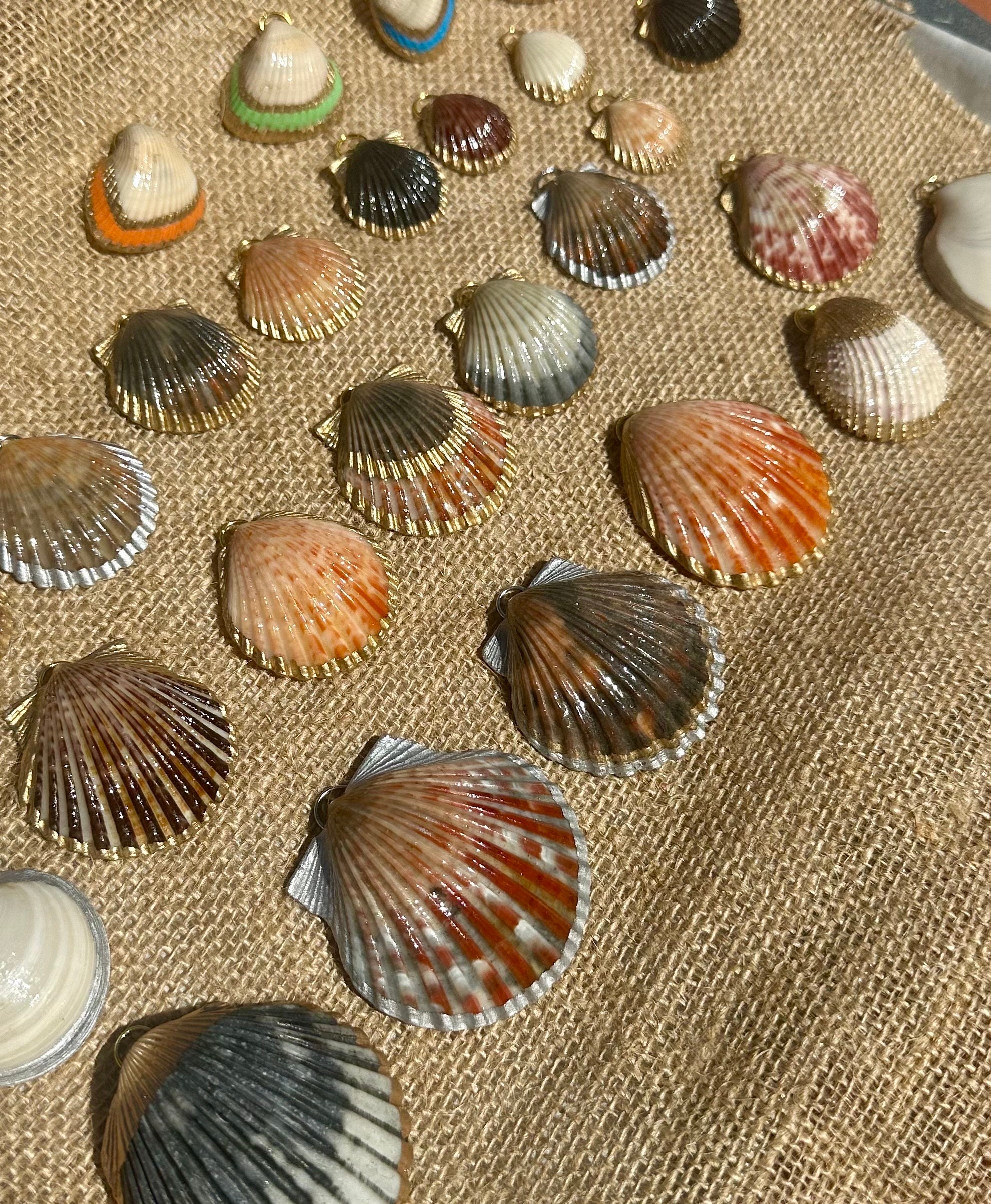 Real Sea Shell Pendant Necklace Silver or Gold Accents / Ocean, Surfer ...