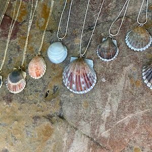Könnte beinhalten: Eine Sammlung von neun Halsketten mit verschiedenen Muscheln als Anhänger. Die Halsketten werden auf einer felsigen Oberfläche präsentiert. Die Muscheln sind in verschiedenen Farben, darunter Weiß, Braun und Orange.