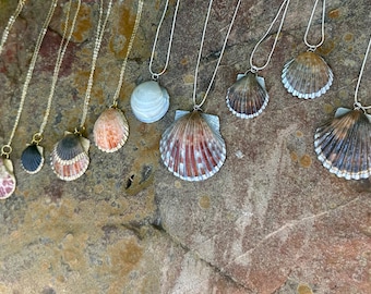 Real Sea Shell Pendant Necklace Silver or Gold accents / Ocean, Surfer, Beach Wedding / Natural Unique Nature Jewelry Cruise Vacation