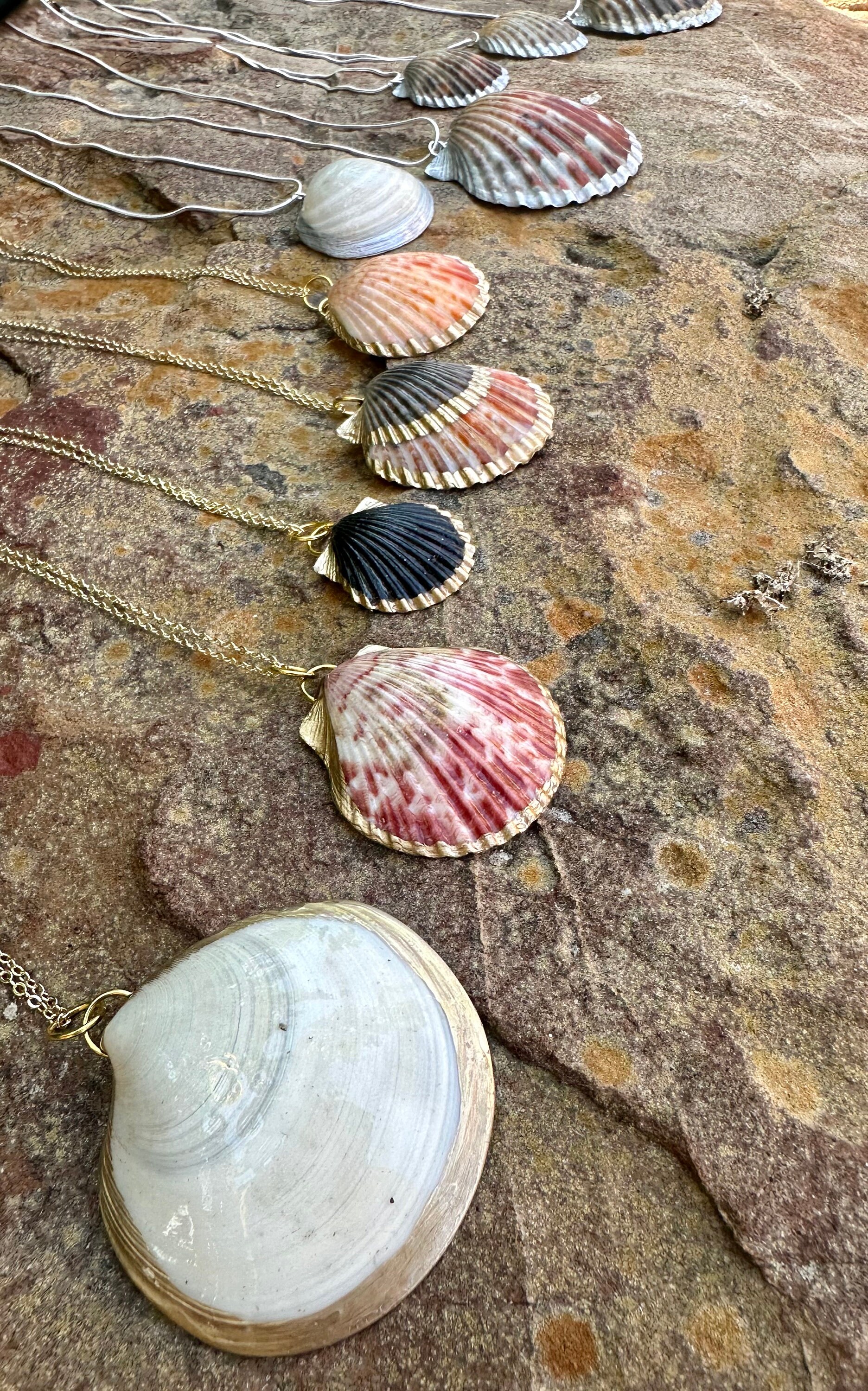 Real Sea Shell Pendant Necklace Silver or Gold Accents / Ocean, Surfer ...