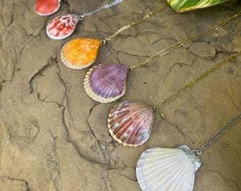 Real Sea Shell Pendant Necklace Silver or Gold accents / Ocean, Surfer, Beach Wedding / Natural Unique Nature Jewelry Cruise Vacation