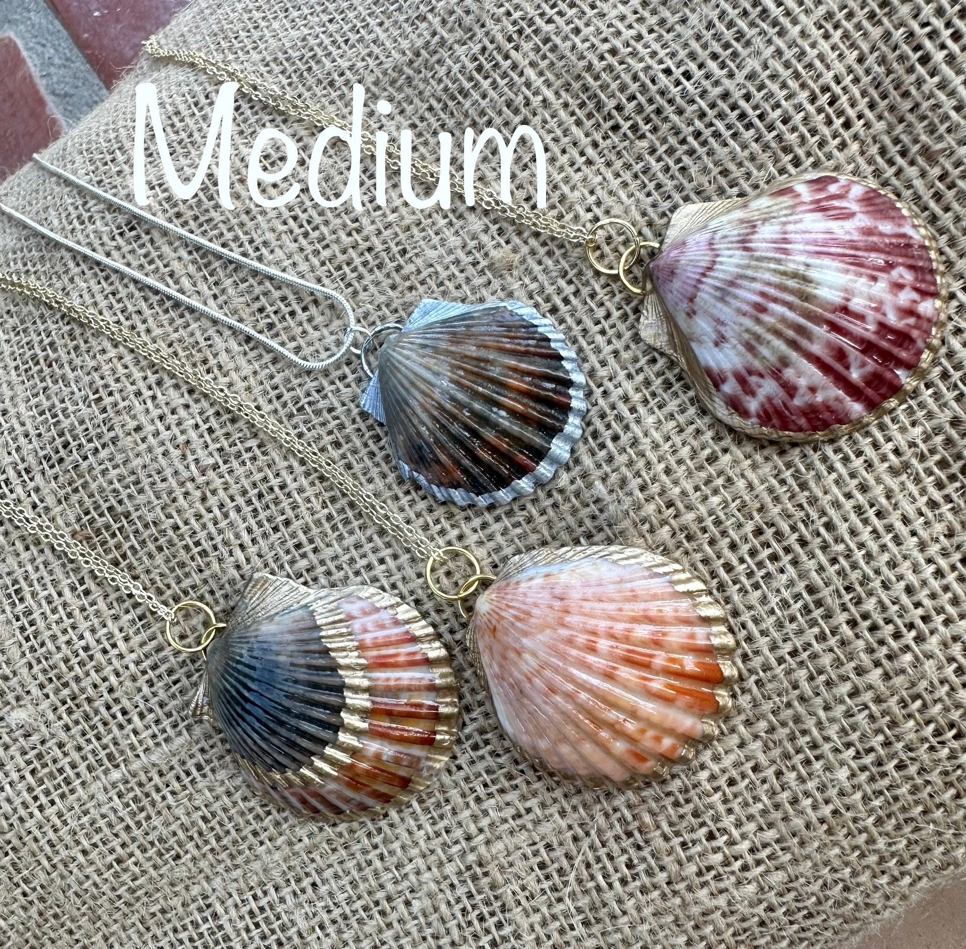 Real Sea Shell Pendant Necklace Silver or Gold Accents / Ocean, Surfer ...