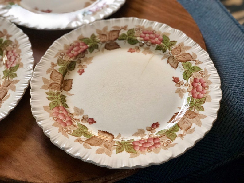 3 Available Wedgwood Wild Briar Pink 10 Dinner Plates