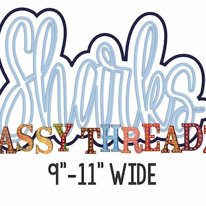 Könnte beinhalten: Ein blaues Neon-Schild mit der Aufschrift "Danke" und den Worten "SASSY THREADZ" in bunten Blockbuchstaben mit Glühbirnen. Das Schild ist 9-11 Zoll breit.