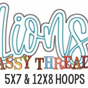 May include: A graphic design for a business called "Sassy Threadz" featuring the word "lit" in a stylized font with a blue and black outline. The text "Sassy Threadz" is in a colorful block font with light bulbs. The text "5x7 & 12x8 HOOPS" is below the logo.