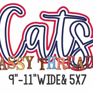 May include: A red and blue outline of the word "Cats" with a colorful, light-up sign that reads "SASSY THREADZ" below. The sign is 9-11 inches wide and 5x7 inches.