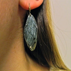 Peut inclure: Une paire de boucles d'oreilles argent&eacute;es avec un design clair, iridescent et textur&eacute; ressemblant &agrave; une aile de papillon.