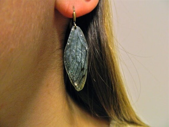 Fairy Wing earrings - Cicada