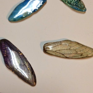 Peut inclure: Quatre ailes d'insectes iris&eacute;es, deux sont bleues, une est violette et une est beige clair avec des nervures brunes.