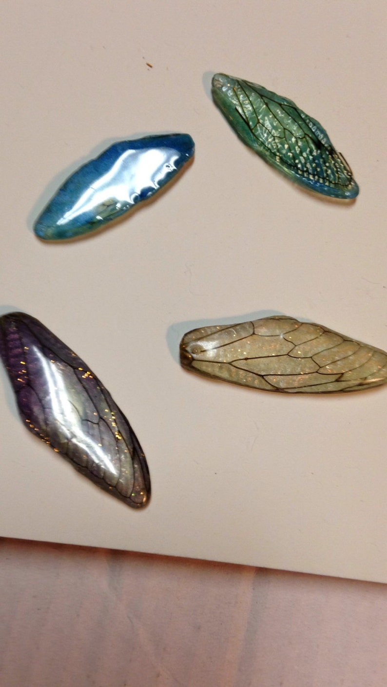 Peut inclure: Quatre ailes d'insectes iris&eacute;es, deux sont bleues, une est violette et une est beige clair avec des nervures brunes.
