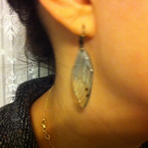 Peut inclure: Une boucle d'oreille en argent en forme de feuille avec une finition translucide et iris&eacute;e. La boucle d'oreille est suspendue &agrave; l'oreille d'une personne.