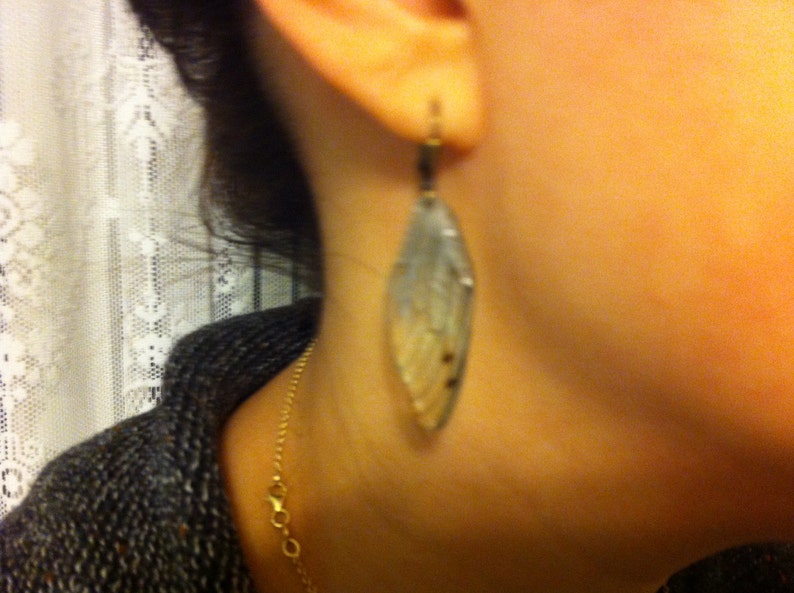 Peut inclure: Une boucle d'oreille en argent en forme de feuille avec une finition translucide et iris&eacute;e. La boucle d'oreille est suspendue &agrave; l'oreille d'une personne.