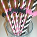 10 Fun Batgirl Straws pink and black(948S)