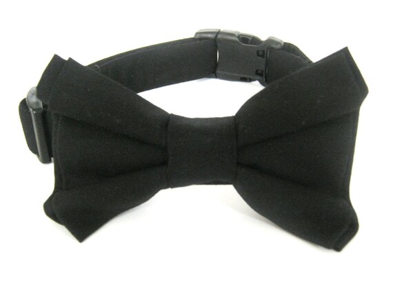 black bow tie for dogs