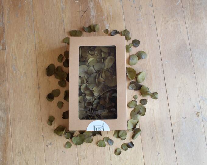 REAL Preserved Eucalyptus, Olive Green Flower Girl and Exit Toss