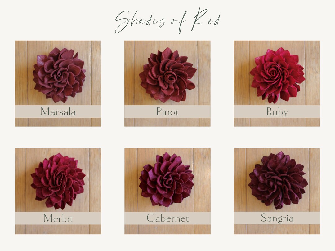 Red Sola Wood Flower Pack of 10 main image 1