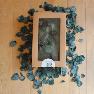 ECHT erhaltener Eukalyptus, Teal Green Blumenmädchen und Ausgangswurf-Ersatz von Evergreen Bride für Hochzeit, Braut, Blumen und Blumenwurf