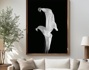 Elegant Black & White Calla Lily Photography - Floral Wall Art Print