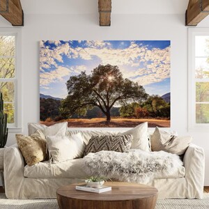 Tree of Life print, California Oak Tree photo, rustic wall decor, country wall art, wine country wall art, Santa Barbara photography print