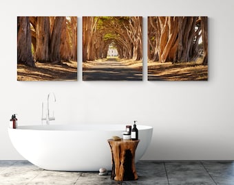 Cypress Tree Tunnel Photo, Point Reyes Seashore Photo, Canopy of Trees, 3 panel wall art, oversized panoramic nature photography print