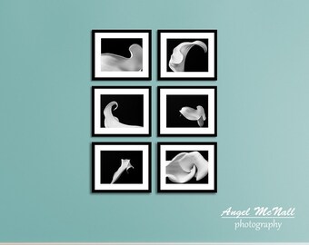 Black and White Flower photography set, Set of Calla Lily prints, floral wall collage,  fine art flower  photography prints